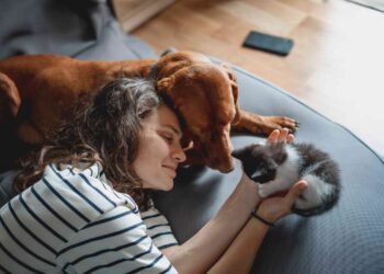 The Psychology Behind Being a Cat Person vs. Dog Person