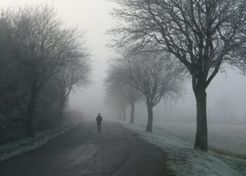 Trauma and Alienation Matter Later in Life