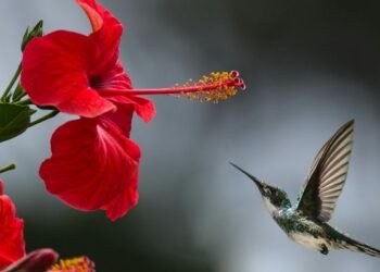 Getting Lost in Nature Can Help You Find Yourself