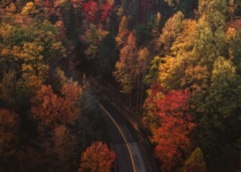 Coping with Homesickness, Stress, and Expectations