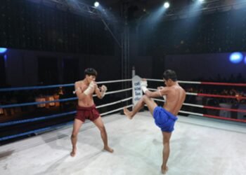 Observing Aggression and Learning From It