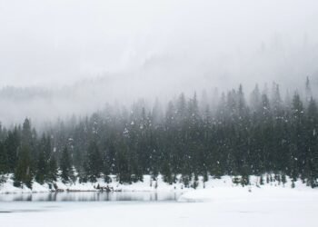 Hungry for Strong Female Protagonists? So Are They