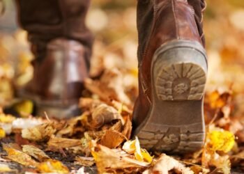 How 3,000 Steps a Day Protects Your Brain