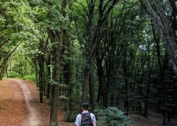 Breaking Bad: Beyond Bad Decision-Making