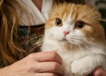 Do Pets Make Their Owners Happy? New Study Says They Do Not